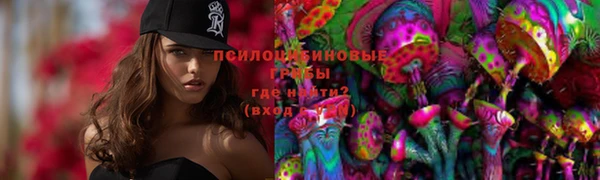 spice Кукмор